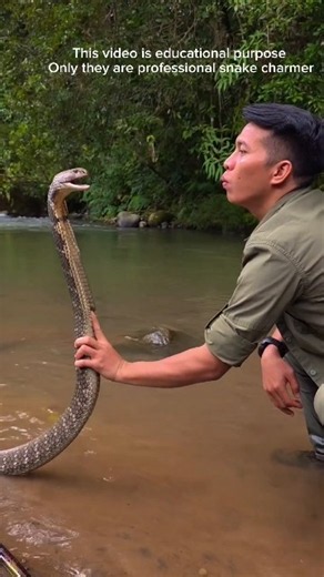Why Is He Splashing Water on the Snake? 💦 #facts #ytshorts #trending