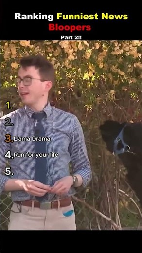 Top FUNNIEST NEWS BLOOPERS