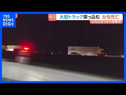 シカと衝突し停車中の車に大型トラック突っ込む　女性(22)死亡　運転の男(46)を逮捕　愛知・新城市の新東名高速道路｜TBS NEWS DIG