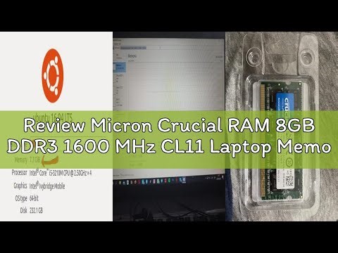 Review Micron Crucial RAM 8GB DDR3 1600 MHz CL11 Laptop Memory CT102464BF160B