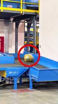 When Your Parcel Decides to Take a Tour 😅📦 #shortvideo #viralvideo