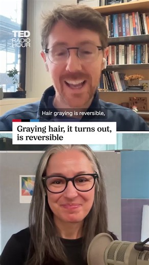 Reducing stress could reverse some of your gray hair. Host: @manoushz • Manoush Zomorodi/NPR Producers: Katie Monteleone/NPR, @abiinman • Abi Inman/NPR