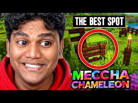 Thinking Out of the BOX Spots in Meccha Chameleon