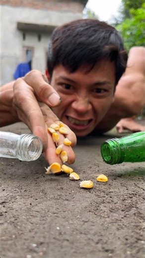 Don't Blink, Flexing calisthenics skills to twin millipedes #shorts #milliedes