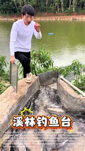 Releasing Fish into the Lake: Stocking a Fishing Pond