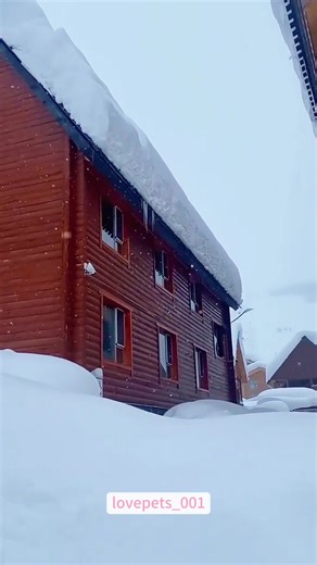 Snow removal from the roof.🤣🤣🤣#funny #foryou #funnyvideos #funnytiktok #fypシ゚viral #funnymoments #usa🇺🇸