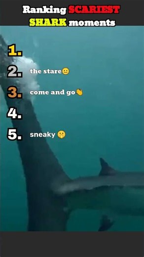 Ranking the best shark moments ever caught on camera #sharks #ocean