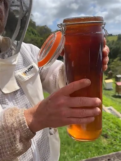 Harvesting Over 6 Liters of Honey with Flow Hive
