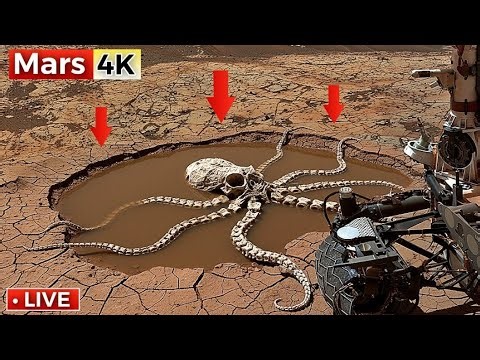 NASA Mars Rover Captured Most Breathtaking 360° Footage of Mars In 4K | Perseverance Rover SOL 1539