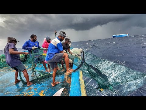Deadly Storm at Sea 🌊 Fishermen Battle Extreme Waves for a Massive Catch! || Day-09