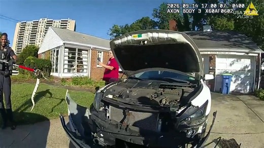 Police rescue 3-foot-long ball python from car grille