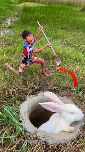 SMART Survival Trick to Catch a Rabbit 🐇 | Bushcraft Idea You Must Try #bushcraft #campping