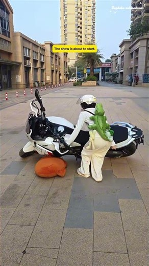 Tiny Girl vs Big ADV: X-Cape 1200 Pick-Up Demo #motomorinixcape1200 #girlrider #motorcycle #bikelife