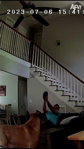 Expensive Fails CCTV | These will break the bank! 😬