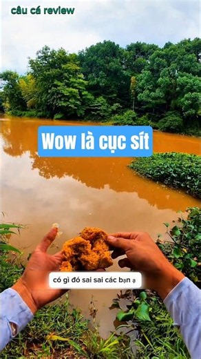 anh cần thủ bốc nhầm cục sít để xả ổ và cái kết #cauca #fishing
