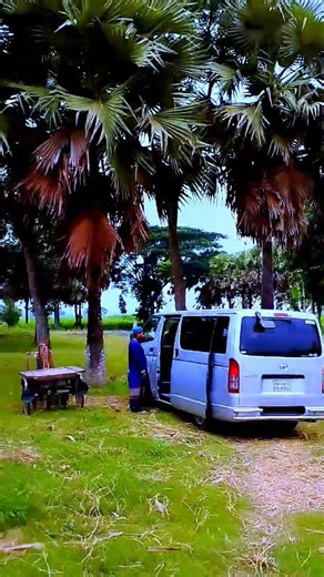 একদিন সবাইকে চলে যেতে হবে যার নাম মালাকুল মউত আল্লাহ সবাইকে হেদায়েত দান করুক আমিন 🤲🤲 #travel#love