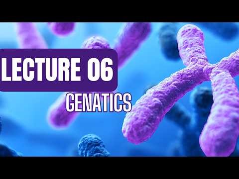 Genetics - Lecture 06 (DNA Replication and Recombination in Prokaryotes)