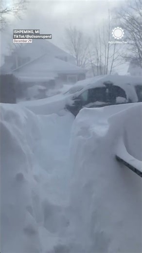Feet of Snow In Michigan!