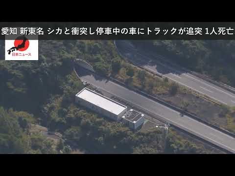 「ニュース」愛知 新東名 シカと衝突し停車中の車にトラックが追突 1人死亡