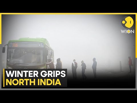Severe Winter Conditions Continue Across Large Parts of India, IMD Warns of Dense Fog | WION