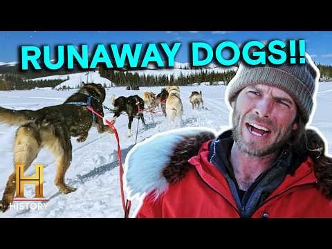 Sled Dogs Gone Wild! | Mountain Men: Wild North