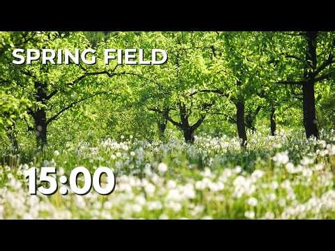 15 Minute Spring Field Focus Timer 🌿 | Calm Nature for Concentration