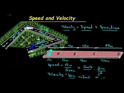 02. Speed and Velocity/ Acceleration/ Time/ Describing the motion of an object on a straight line