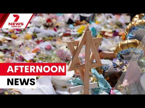 Royal Commission report; Double Bay ram raid; Adelaide plane crash| 7NEWS