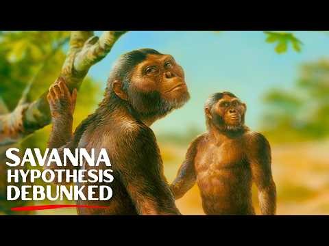 The Real Reason Humans Evolved to Walk Upright