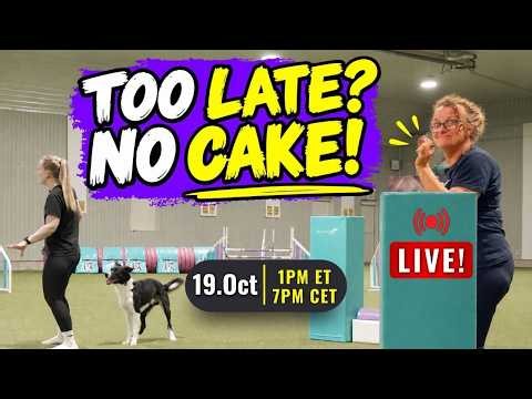 Always Late in Agility? Why Running Faster Won't Fix It!