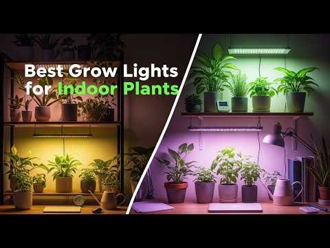 TOP 5 Best Grow Lights For Indoor Plants 2026 | Grow Lights For Indoor Plants For Massive Growth