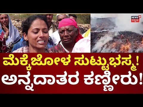 Maize Caught Fire In Gadag | 60 ಲಕ್ಷ ಮೌಲ್ಯದ ಮೆಕ್ಕೆಜೋಳ ಸುಟ್ಟು ಭಸ್ಮ, ಖುಷಿಯಲ್ಲಿದ್ದ ರೈತನಿಗೆ ಶಾಕ್