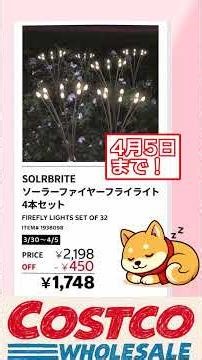 【2026/4/1 - 4】コストコ最新セール情報 #shorts #costco #お得