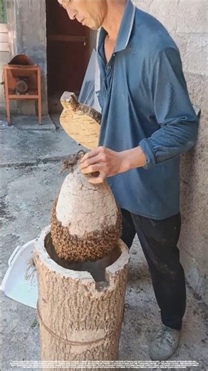 How do traditional beekeepers get a bee colony to move?