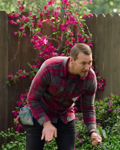 Learn the 7 Common Commands you’ll use every day with your dog: sit, stay, down, come, off, heel, and no. | MasterClass