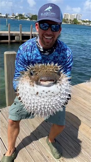 This Fish Turns Into a Balloon 😱 #vecna