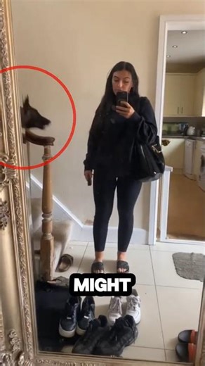 If Your Dog Jumps On People… STOP Doing This ❌🐕