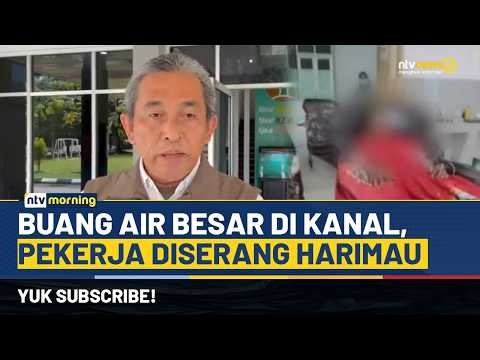Ngeri! Pekerja Proyek Diserang Harimau Sumatra, Korban Selamat Berkat Temannya | NTV MORNING