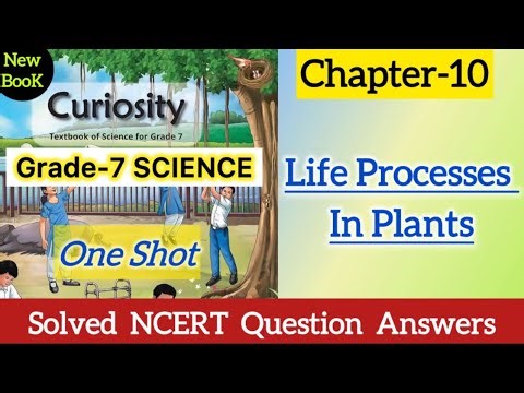 Class 7 Science | Chapter 10 | Life Processes in Plants | NCERT Question Answers | Curiosity | CBSE