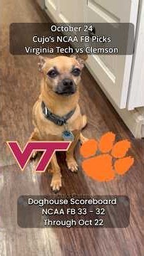 Cujo’s NCAA Football Picks | Virginia Tech vs Clemson 🏈 10-24-2026 #CujoCatches