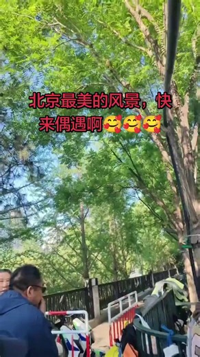 马上入夏了，进京访民仍然维持在高峰水平。北京市西城区永定门西街甲一号附近，河岸边的访民一眼望不到头。