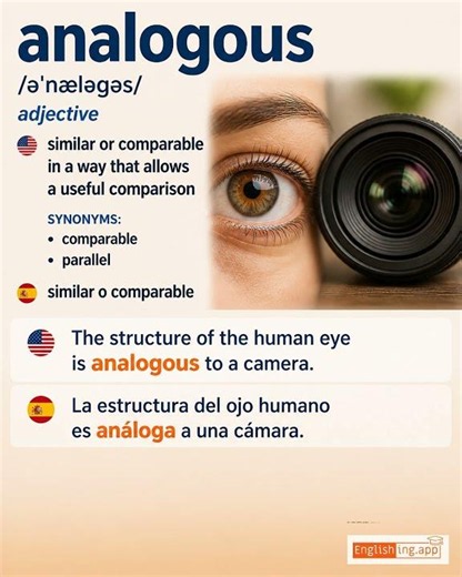 Analogous: English vocabulary meaning and example