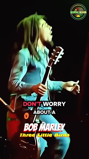 Don't worry about anything thing 🙏 BOB MARLEY ♥️ #reggaeton #reggae #music #viralvideo #fyp