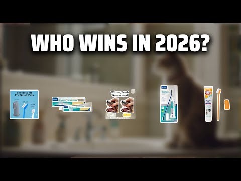 The Top 5 Best Enzymatic Toothpaste in 2026 - Must Watch Before Buying!