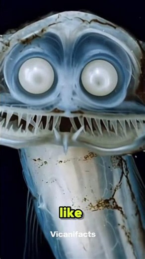 😱 TOP 3 SCARIEST DEEP-SEA CREATURES! #deepsea #ocean #creatures