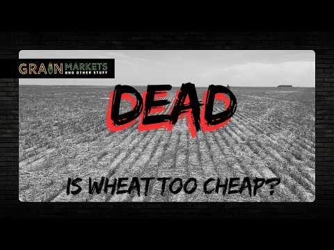Drought DESTROYS Southern Plains Wheat Crop - Why Aren't Prices Higher??