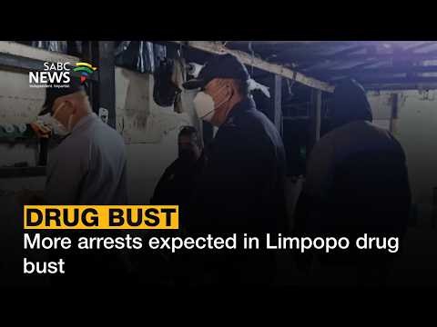 More arrests expected in Limpopo drug bust