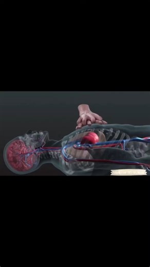 CPR Cardiopulmonary Resuscitation - Explained in 15 seconds #shorts