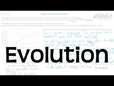 Evolution | Grade 9 Exam Question Walkthrough for GCSE Biology