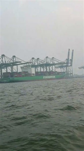 How Container Load in Ship in Export Import Business, Practical Learning about Export Business.